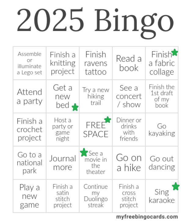 My 2025 Bingo&nbsp;Card